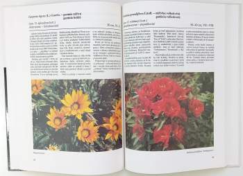 Letničky a dvouletky