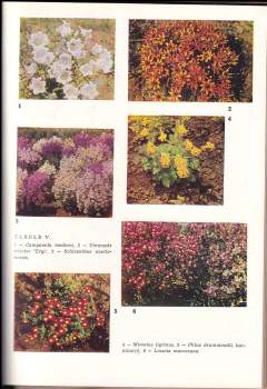 Jaroslav Průcha: Letničky a dvouletky