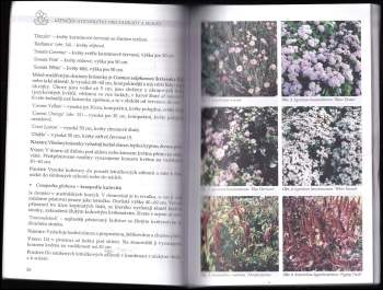 Petr Pasečný: Letničky a dvouletky pro zahrady a skalky