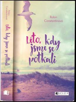 Robin Constantine: Léto, kdy jsme se potkali