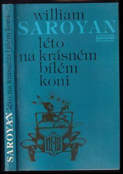 Léto na krásném bílém koni