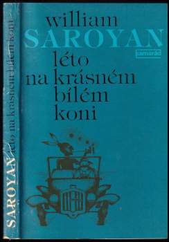 Léto na krásném bílém koni