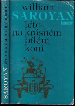 Léto na krásném bílém koni