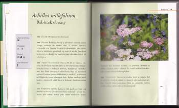 Andrea Rausch: Lexikon bylinek
