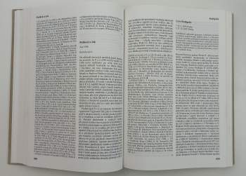 Lexikon české literatury