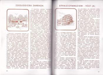 Svatopluk Technik: Liberecké domy hovoří II