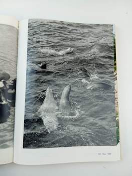 Vilém Heckel: Lidé, země, čas