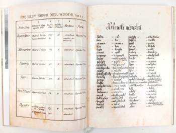 František Patočka: Lidová kultura západních Krkonoš ve světle Národopisné výstavy českoslovanské 1895