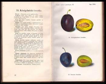 Josef Vaněk: Lidová pomologie - švestky a slívy