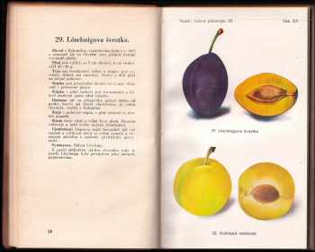 Josef Vaněk: Lidová pomologie - švestky a slívy