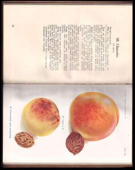 Josef Vaněk: Lidová pomologie