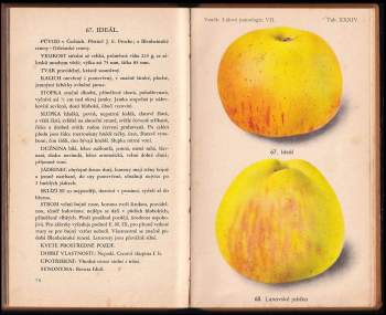 Josef Vaněk: Lidová pomologie