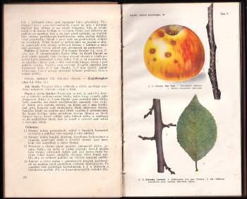 Josef Vaněk: Lidová pomologie