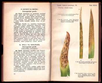Josef Vaněk: Lidová pomologie