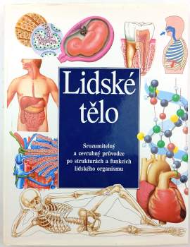 Lidské tělo
