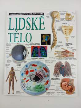 Lidské tělo