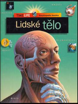 Lidské tělo