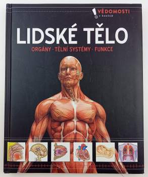 Lidské tělo