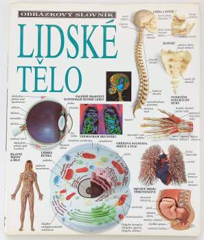 Lidské tělo
