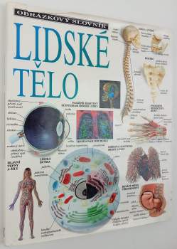 Lidské tělo