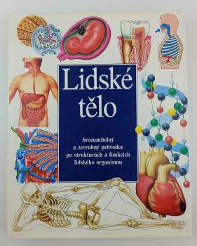 Lidské tělo