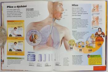 Isabelle Bouillot-Jaugey: Lidské tělo