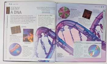 Miranda Smith: Lidské tělo