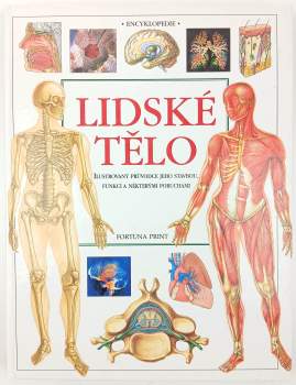 Lidské tělo