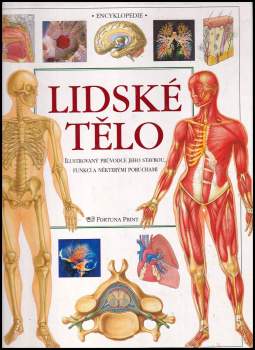 Lidské tělo