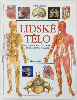 Lidské tělo