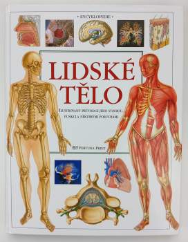 Lidské tělo