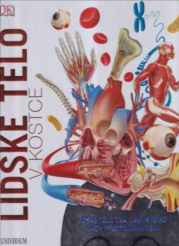 Lidské tělo v kostce