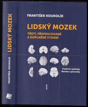 Lidský mozek