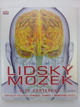 Lidský mozek