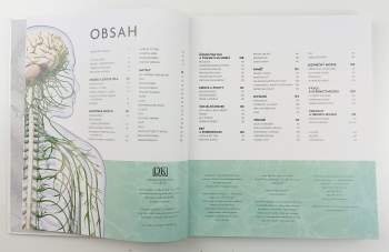 Rita Carter: Lidský mozek