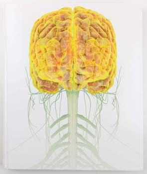 Rita Carter: Lidský mozek