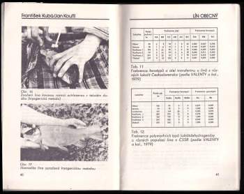 Jan Kouřil: Lín obecný