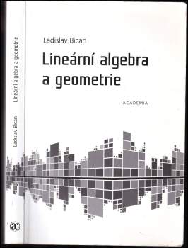 Ladislav Bican: Lineární algebra a geometrie