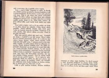 Jaroslav Hubálek: Lišák Cikán