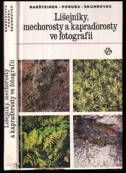 Lišejníky, mechorosty a kapraďorosty ve fotografii
