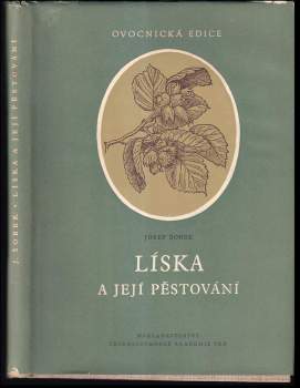 Líska a její pěstování