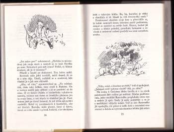 Rudolf Těsnohlídek: Liška Bystrouška