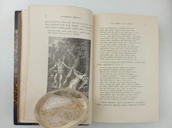 Arne Novák: Literatura česká devatenáctého století