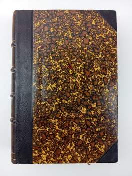 Arne Novák: Literatura česká devatenáctého století