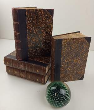 Literatura česká devatenáctého století