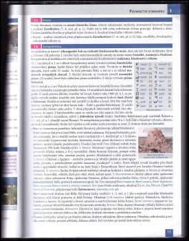 Taťána Polášková: Literatura, přehled středoškolského učiva