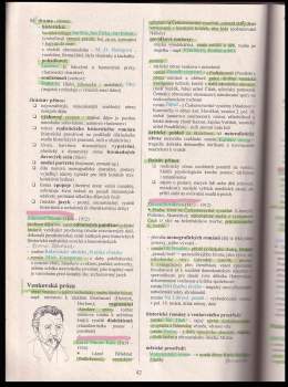 Marie Sochrová: Literatura v kostce