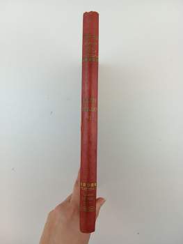 Jules Verne: Lodivod dunajský
