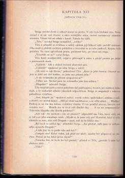Jules Verne: Lodivod dunajský