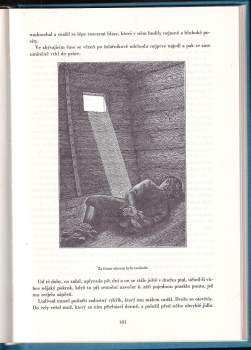 Jules Verne: Lodivod dunajský